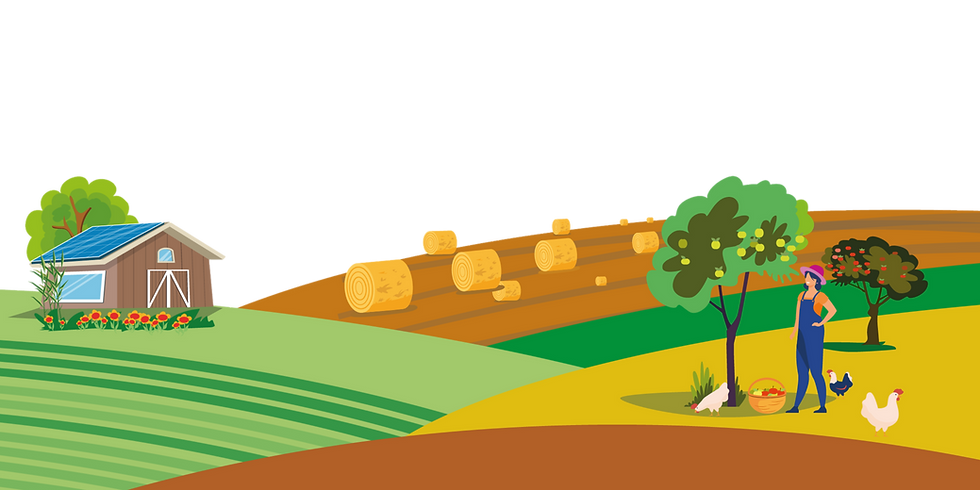 Header TDA 01 (2).png