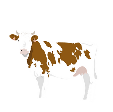 vache_edited_edited_edited.png